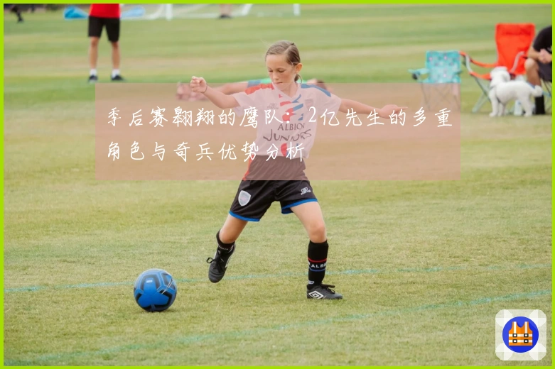 季后赛翱翔的鹰队：2亿先生的多重角色与奇兵优势分析