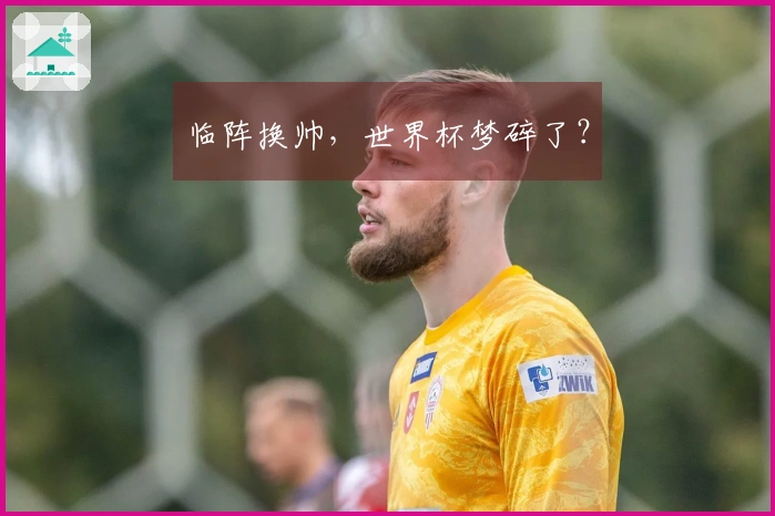 临阵换帅，世界杯梦碎了？