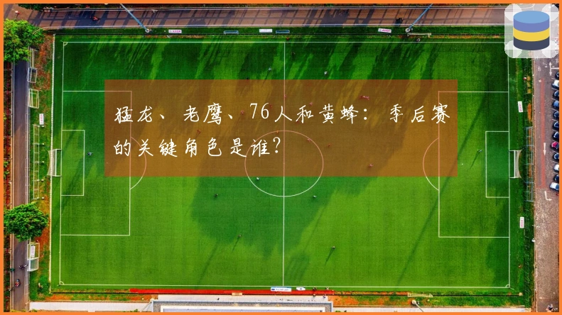 猛龙、老鹰、76人和黄蜂：季后赛的关键角色是谁？