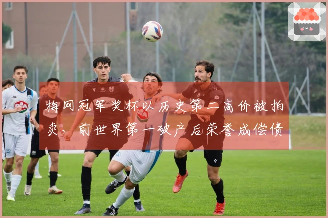 梅网冠军奖杯以历史第二高价被拍卖，前世界第一破产后荣誉成偿债资产