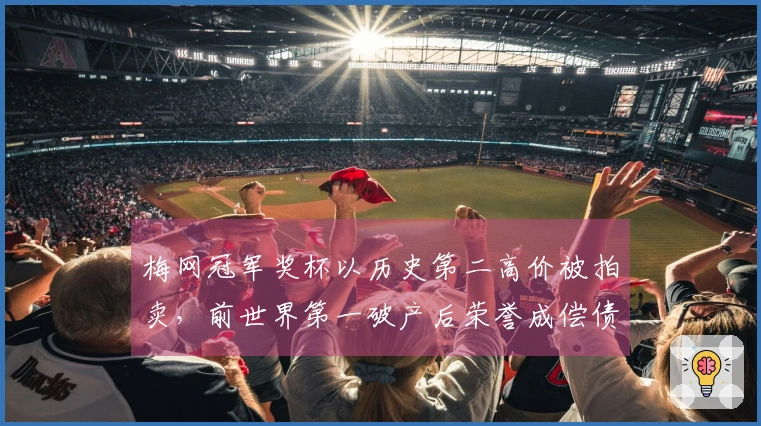 梅网冠军奖杯以历史第二高价被拍卖，前世界第一破产后荣誉成偿债资产