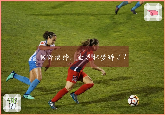 临阵换帅，世界杯梦碎了？
