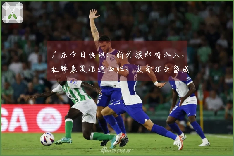 广东今日快讯：新外援即将加入，杜锋康复迅速回归，麦考尔去留成疑