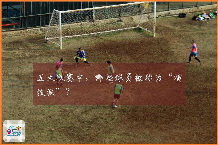 五大联赛中，哪些球员被称为“演技派”？